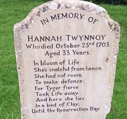 Hannah &amp; the Tyger - St Josephs School